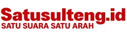 Satusulteng.id logo